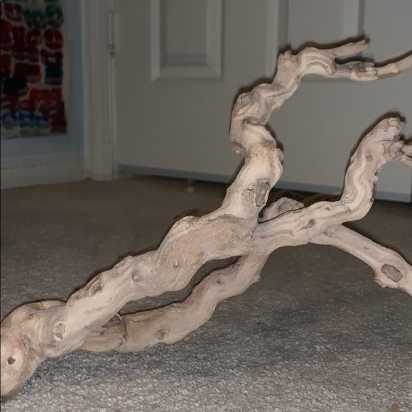 Reptile cage crawling wood - Picture 2 of 2